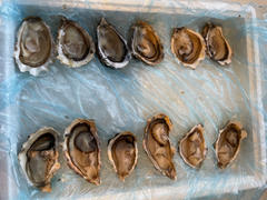 Greenfish Medium Fresh Oysters | Live Box | Farmed on the West Coast | x12 Review