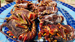 Greenfish Crayfish Box | Frozen box | Whole West Coast Rock Lobster | x6 | Medium Review