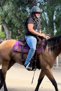 Farm House Tack HitAir Safety Vest Replacement Co2 Canisters Review