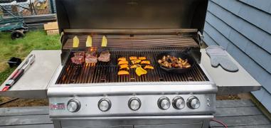 Grill Collection Blaze 32 4-Burner LTE Built-In Gas Grill with Lights Review