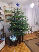 Premium Bo I No Drevo 150cm Sadje v pisarni Premium Božično drevo (150cm) Review