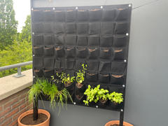 HomeLiving.nl QUVIO Verticale tuin met 56 vakjes voor aan de muur - 100 x 100 cm Review