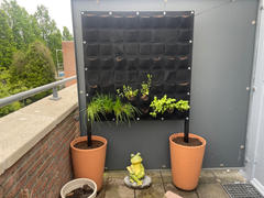 HomeLiving.nl QUVIO Verticale tuin met 56 vakjes voor aan de muur - 100 x 100 cm Review