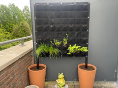 HomeLiving.nl QUVIO Verticale tuin met 56 vakjes voor aan de muur - 100 x 100 cm Review