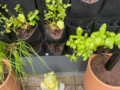 HomeLiving.nl QUVIO Verticale tuin met 56 vakjes voor aan de muur - 100 x 100 cm Review