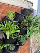 Vertical Gardens Direct Maze Extra Large Vertical Garden 9 Pot Wall Planter Kit Review