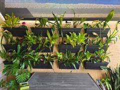 Vertical Gardens Direct Wallgarden Original 10 Pot Vertical Garden Wall Kit Review