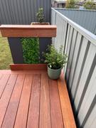 Vertical Gardens Direct Artificial Deluxe Buxus Hedge Wall Panel 1m x 1m UV Stabilised Review