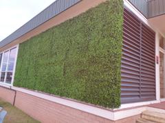 Vertical Gardens Direct Artificial Deluxe Buxus Hedge Wall Panel 1m x 1m UV Stabilised Review