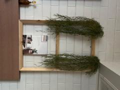 Vertical Gardens Direct Artificial Hanging Air Plant Spanish Moss 'Old Mans Beard' 60cm Review