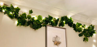 Vertical Gardens Direct Artificial Ivy Leaf Garland Vines 260cm Pack Of 5 Review