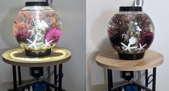 Dream Fish Tanks biOrb Classic 15L / 4 Gallon All-in-One Acrylic Aquarium Kit with LED Light Review