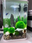 Dream Fish Tanks biOrb Flow 15L / 4 Gallon All-in-One Acrylic Aquarium Kit with LED Light Review