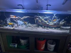 Dream Fish Tanks Clear For Life Rectangle UniQuarium 3-in-1 Acrylic Aquarium - 100-300 Gallons Review