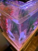 40 Gallon Freshwater Acrylic Aquarium 36X15X16