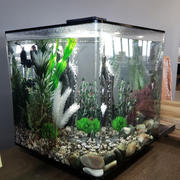 Dream Fish Tanks biOrb Cube 30L / 8 Gallon All-in-One Acrylic Aquarium Kit with Multicolor Light Review