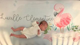 Caiden Designs Flamingo Personalized Crib Sheet Review