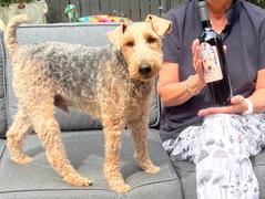 Mano's Wine Custom Pet Photo Label Cabernet Sauvignon Review