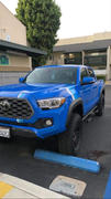 Tacoma Lifestyle Taco Vinyl Large Universal Decals Review