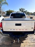 Tacoma Lifestyle Tailgate Inserts For Tacoma (2016-2023) Review