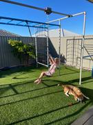 FUNKY MONKEY BARS AUSTRALIA Flying Fox Review