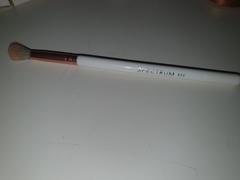 Spectrum Collections B06 - Tall Tapered Blender Makeup Brush Review