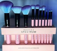 Spectrum Collections 10 Piece Essential Makeup Brush Set Review