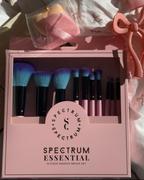 Spectrum Collections 10 Piece Essential Makeup Brush Set Review