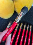 Spectrum Collections Mickey Mouse 10 Piece Makeup Brush Set Review