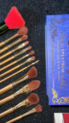 Spectrum Collections Beauty and the Beast 12 Piece Makeup Brush Set Review
