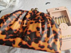 Spectrum Collections Pantherine Makeup Bag and 6 Piece Eye Brush Bundle Review