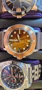 Spinnaker Watches Brown Tiger Eye Review