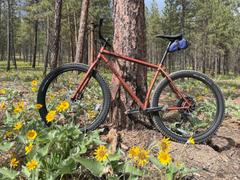 CampfireCycling.com Surly Krampus Rigid - Chester Copperpot Review