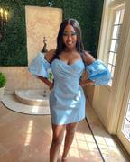 Alieva Kayla Dupioni Puff Sleeve Mini Dress (Sky Blue) Review