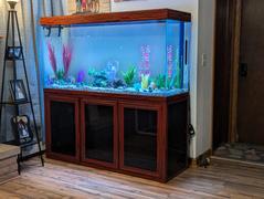 AquaDreamUSA Aqua Dream 200 Gallon Tempered Glass Aquarium Redwood Review