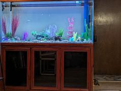 AquaDreamUSA Aqua Dream 200 Gallon Tempered Glass Aquarium Redwood Review