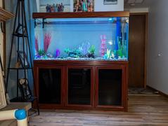 AquaDreamUSA Aqua Dream 200 Gallon Tempered Glass Aquarium Redwood Review