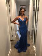 DiscountDressShop.com Cinderella Divine J810 Long Fitted Mermaid Gown Metallic Embroidered Lace Review