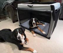 DogGoods Do Good ® The Foldable Travel Dog Crate By DogGoods ® Review