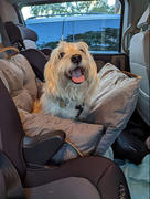 DogGoods Do Good ® Car Bed for Dogs Review
