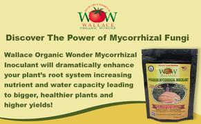 Wallace Organic Wonder Premium Mycorrhizal Inoculant Wallace Organic Wonder Review