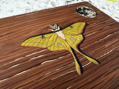 Toast Custom Wood Laptop Covers Review