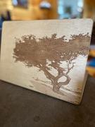 Toast Custom Wood Laptop Covers Review