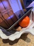 Toast Leather iPad Cover Review