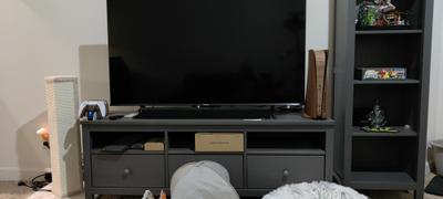 Toast PlayStation 5 Wood Cover Review