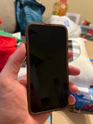 Toast iPhone 13 / mini /  Pro / Pro Max wood cover Review