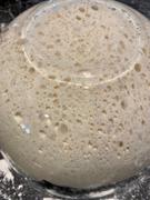 Honest to Goodness Organic Plain White Flour 12.5KG Review