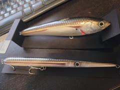 Ebb Tide Tackle Jack Fin Stylo 210 Review