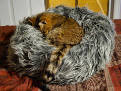 Riverbend Home Fluffi Donut Pet Bed - Gray Review