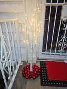 Riverbend Home 4' White Birch Tree LED Lighted Outdoor Christmas Decoration with White Lights Review